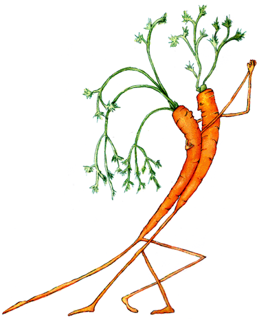 Carrot Tango